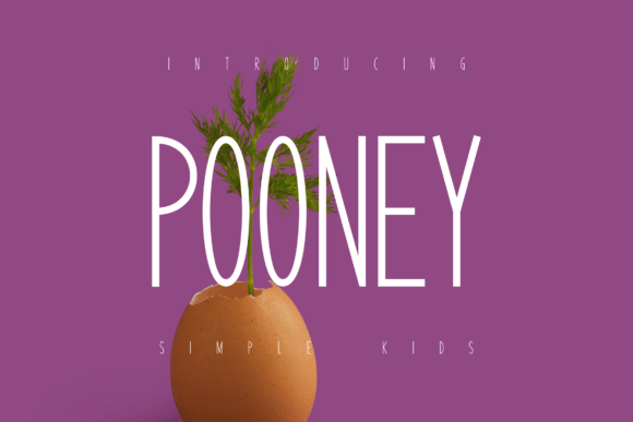 Pooney: A Playful Font for Web Design