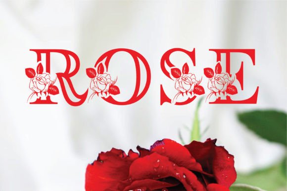 Rosera Monogram Review